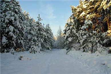 《博德之门3》九号更新补丁上线 添加圣骑士职业