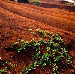 没有跳票，如约而至《诛仙世界》公测定档12月19日！
